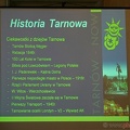 Prezentacja Tarnowa (20060906 0110)